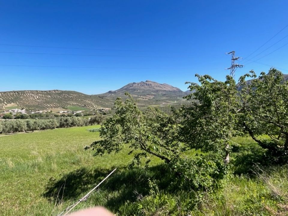 Landejendom i Villanueva Del Trabuco, Malaga - foto 4